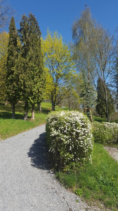 Hauspark 16.000qm mit Spazierwegen und Ruhebänken Vitalhotel König am Park