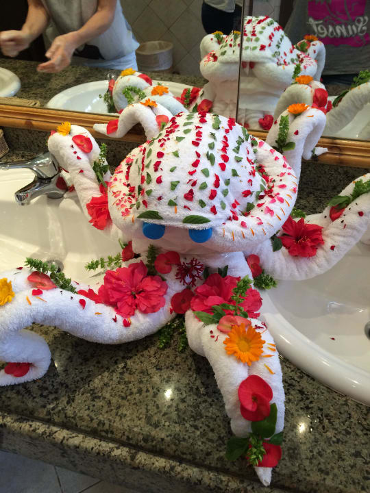 Tolle Eyecatcher - jeden Tag neu ROBINSON SOMA BAY