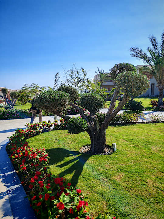 Gartenanlage JAZ Elite Riviera