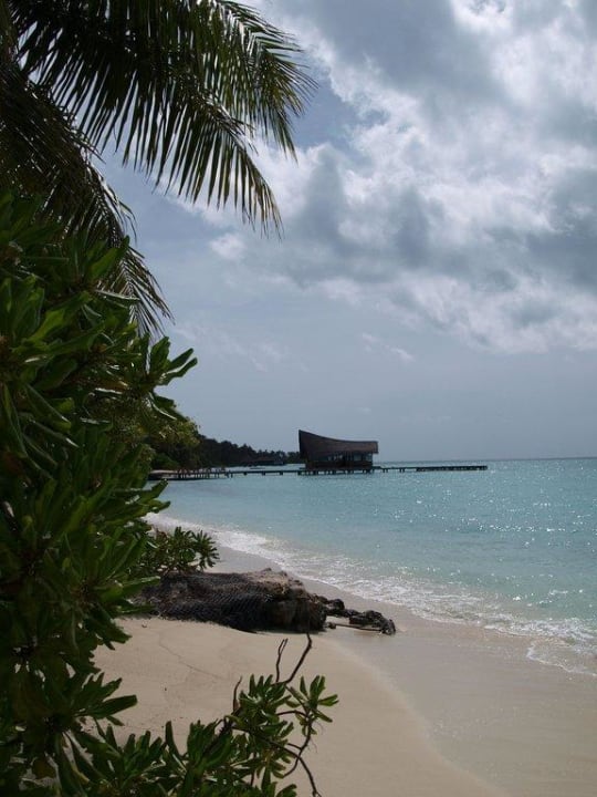Strandabschnitt Cottage Kuramathi Maldives