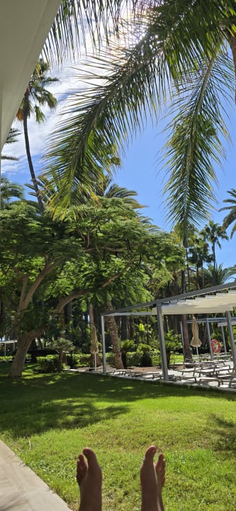 Gartenanlage Hotel Riu Palace Oasis