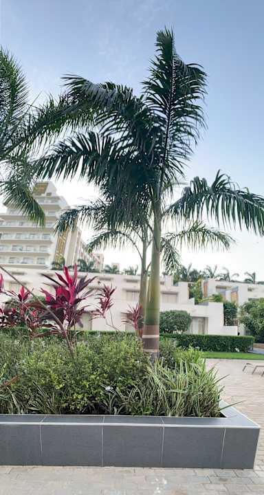 Pool Hotel Riu Jambo