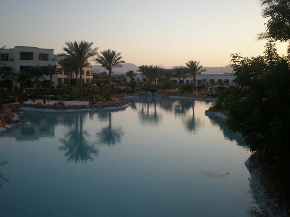 Ogród Regency Plaza Aqua Park & Spa