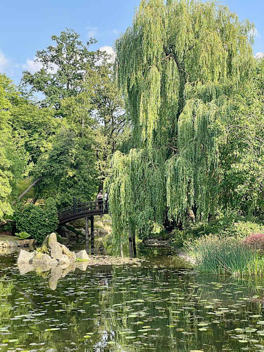 Sonstiges RentPlanet - Przedmieście Oławskie