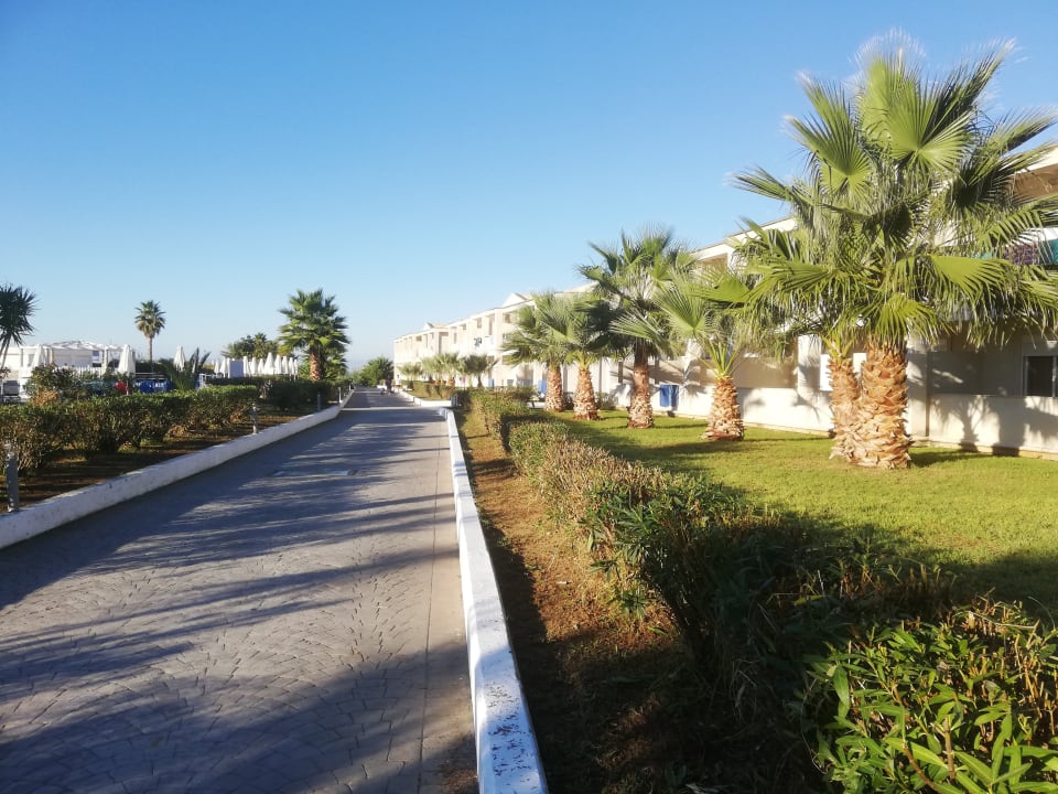 Gartenanlage Sandy Beach Resort