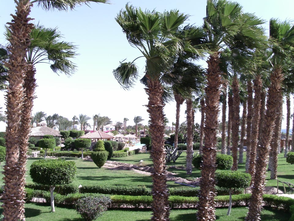 Aussicht vom Balkon  Lotus Bay Beach Resort