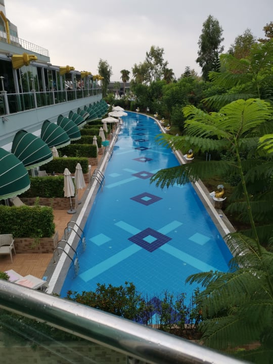 Pool Hotel Delphin Imperial