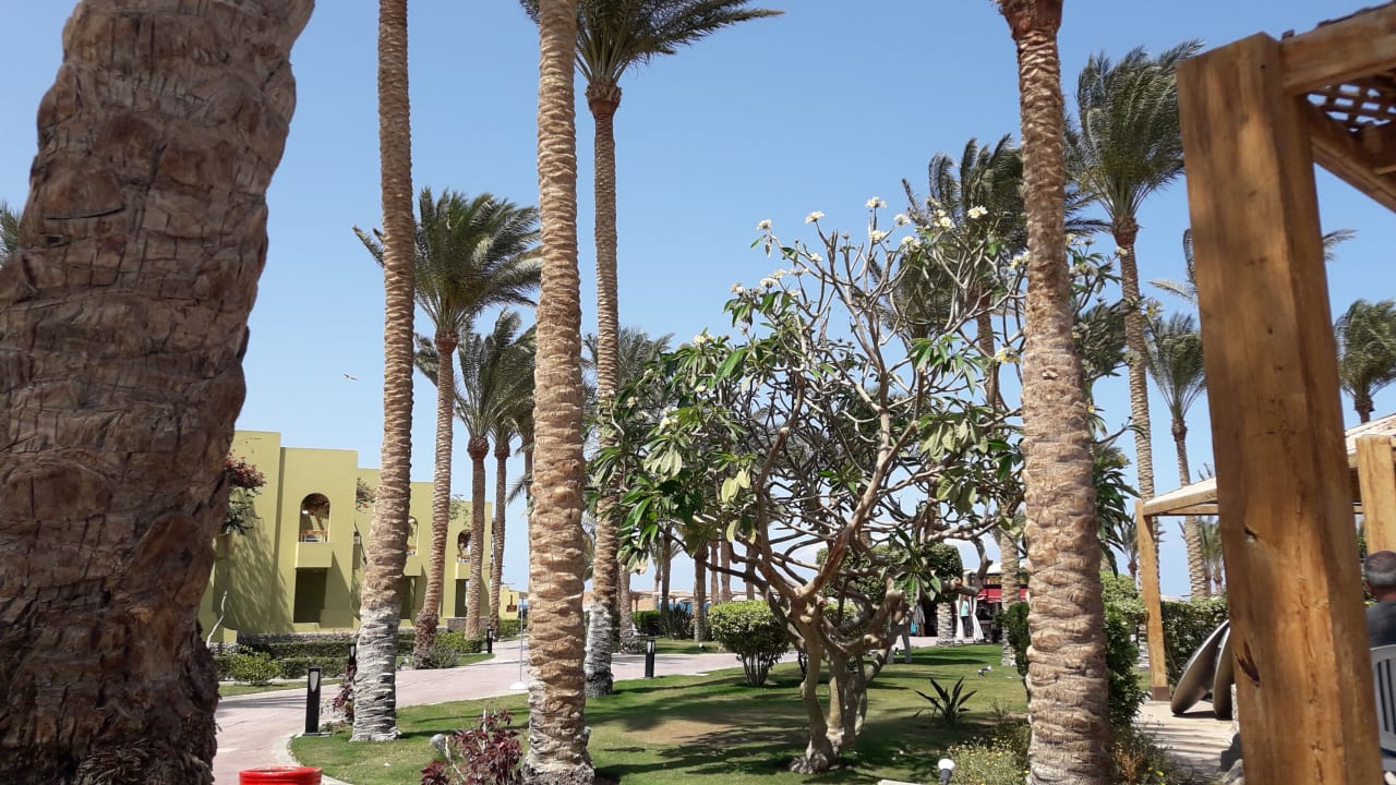 Gartenanlage Palm Beach Resort