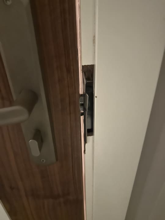 Zimmer Seashell Vega