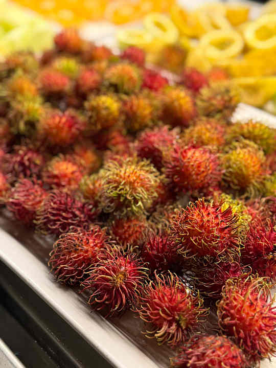 Gastro Hotel Riu Jambo