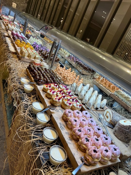 Gastro Seashell Vega