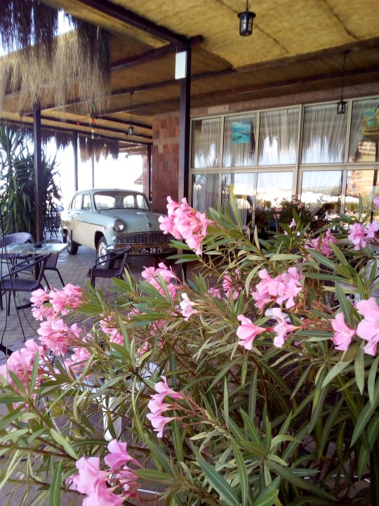 Sonstiges Sol Luna Bay