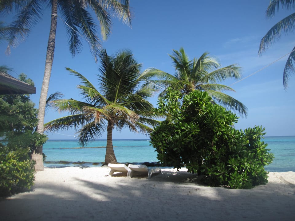 Blick vom Bungi 220 Summer Island Maldives