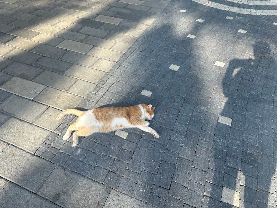 Sonstiges Ömer Prime Holiday Resort