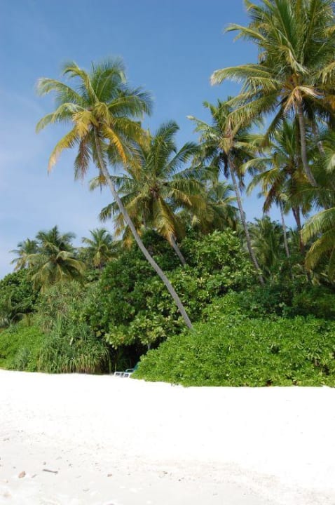 Strand Westseite Biyadhoo Island Resort
