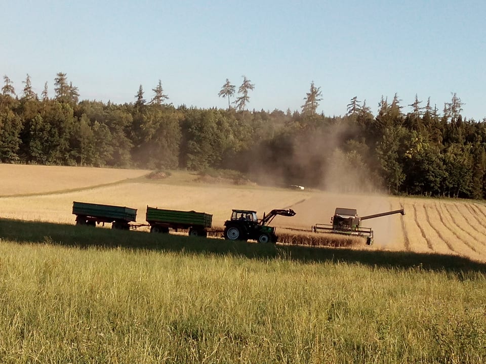 Ausblick Ferienhof Buchberger