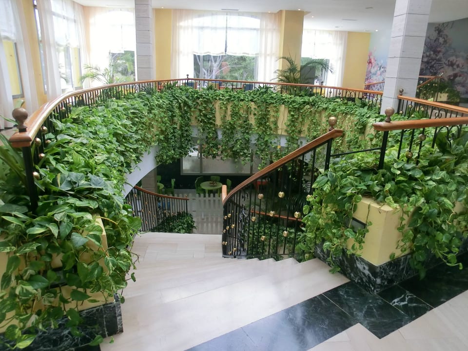 Treppenhaus schön begrünt VIVA Cala Mesquida Resort & Spa