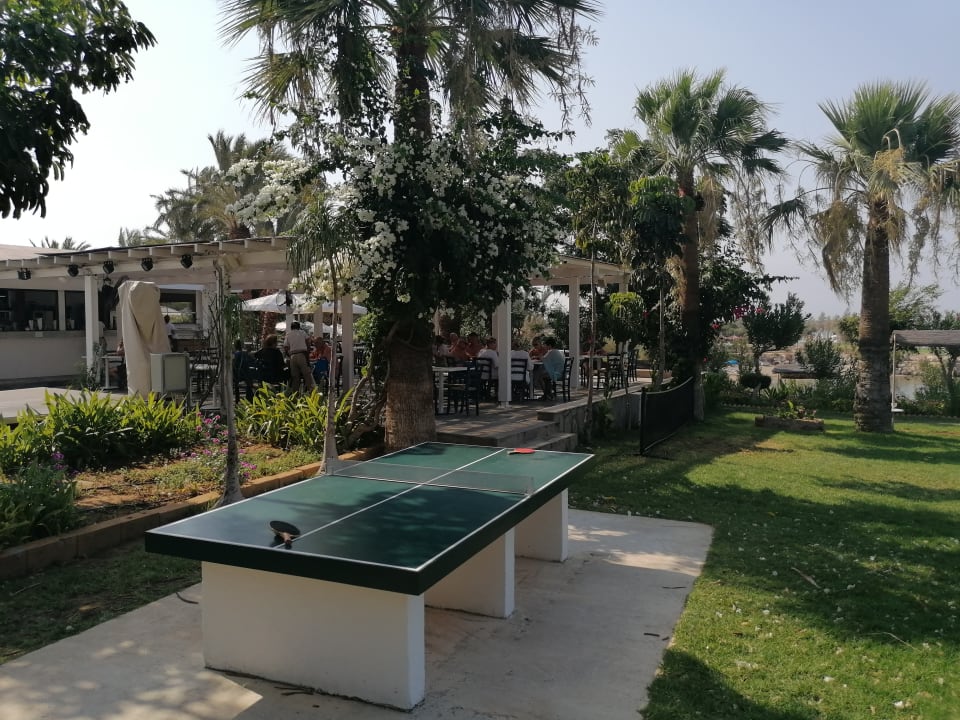 Gartenanlage Crystal Springs Beach Hotel