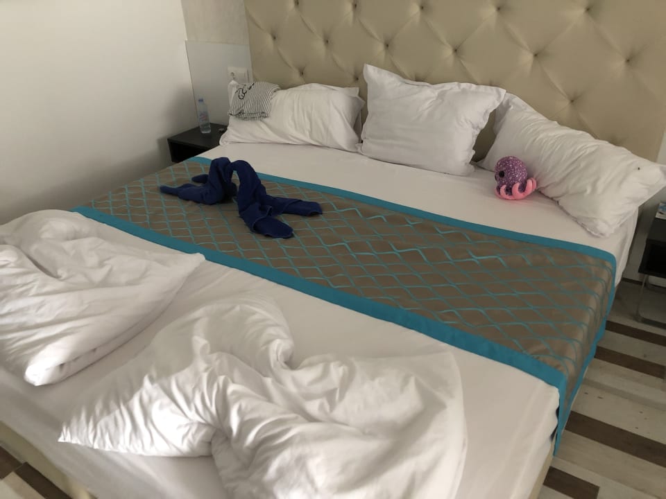 Zimmer Sentido Marea