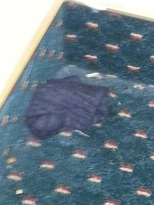 Skarpeta w rogu Days Inn San Jose Convention Center