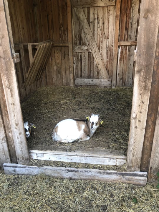 Sonstiges Hotel Alte Schleiferei