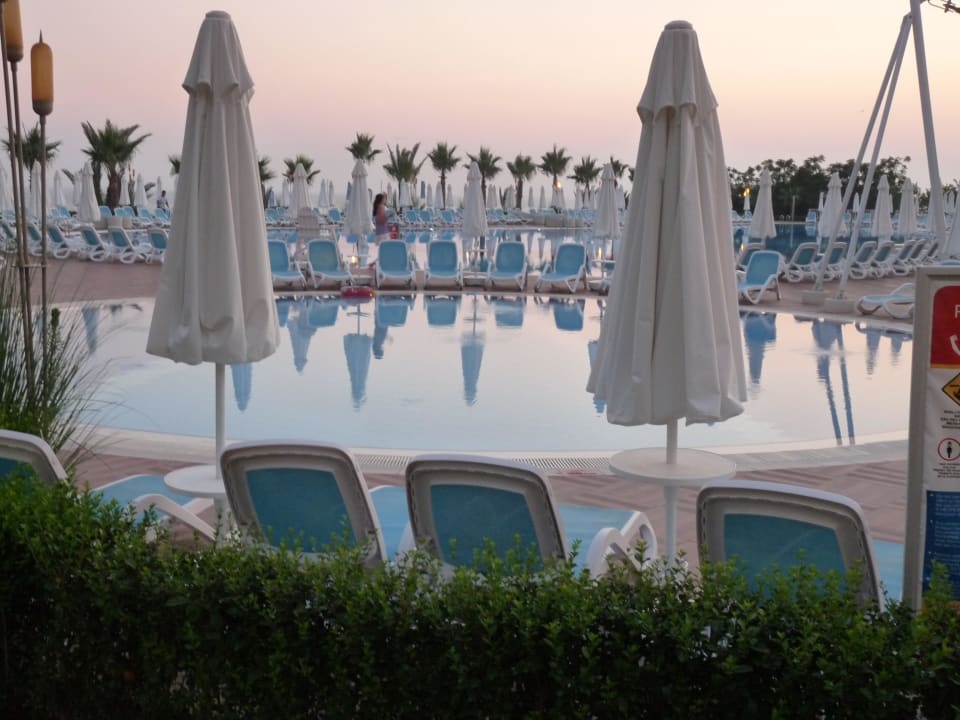 Alles Tip-top Paloma Oceana