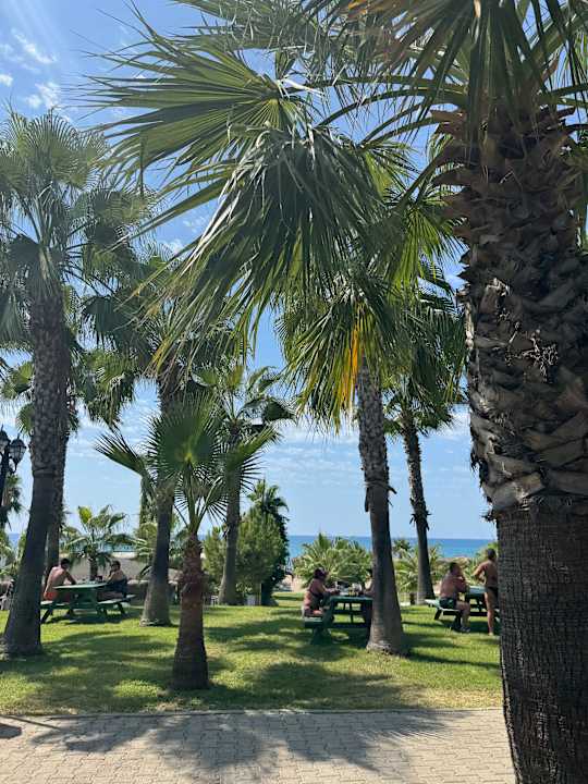 Außenansicht Sultan of Dreams Hotel & Spa