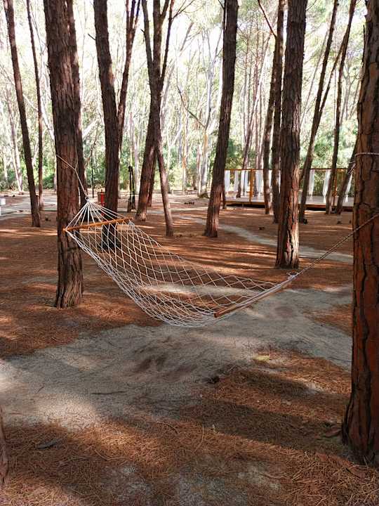 Gartenanlage TUI MAGIC LIFE Calabria