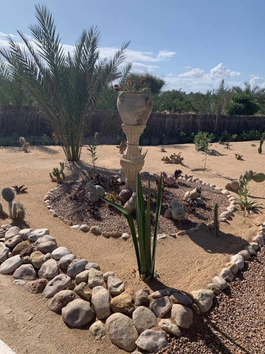 Gartenanlage Iberostar Waves Mehari Djerba