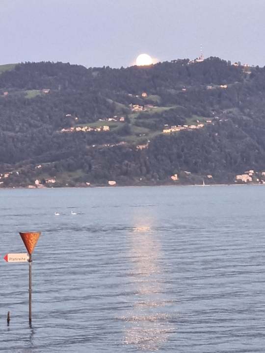 Außenansicht Hotel Reutemann Seegarten