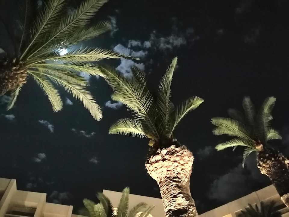 Gartenanlage Hotel Marhaba Club