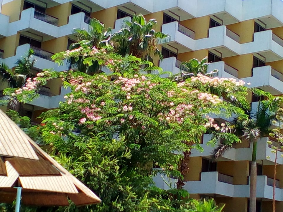 Gartenanlage Pyramisa Hotel Luxor