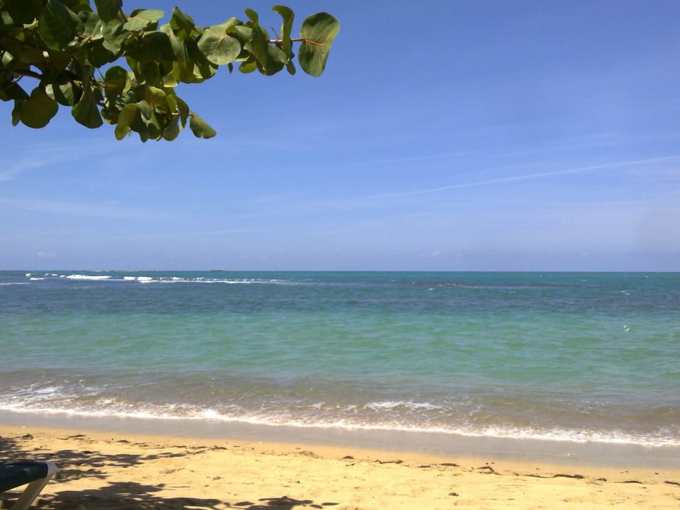 Tja, nur noch reinspringen und genießen Senator Puerto Plata Hotel