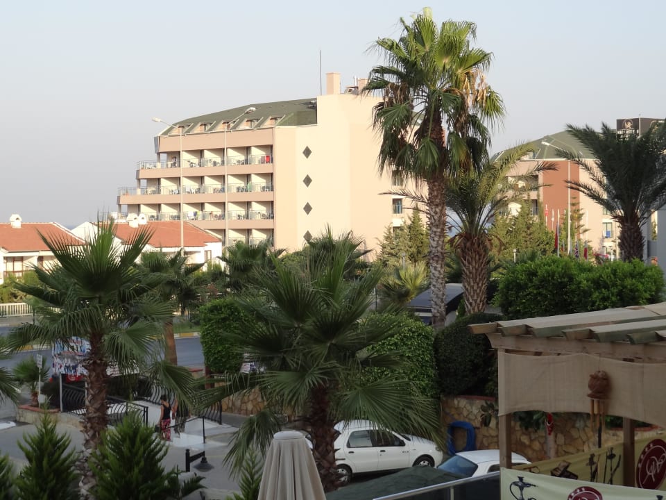 Widok na ogródek Hotel Arabella World