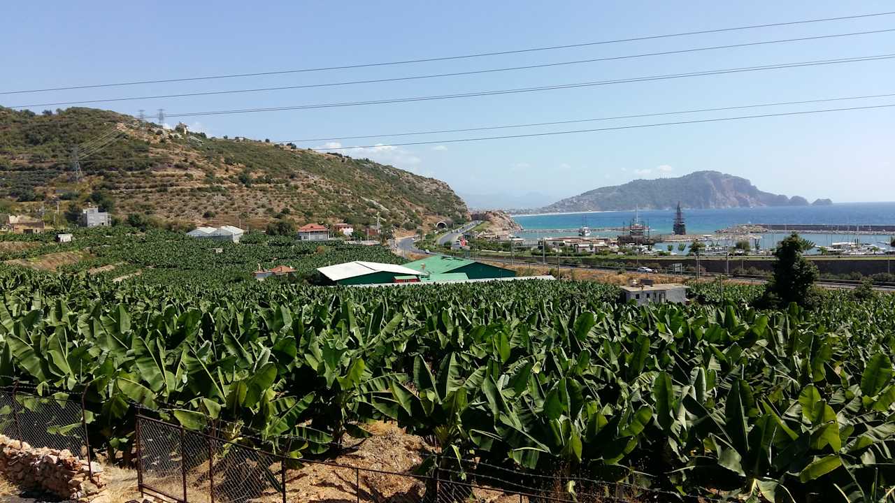 Ausblick La Finca Marina