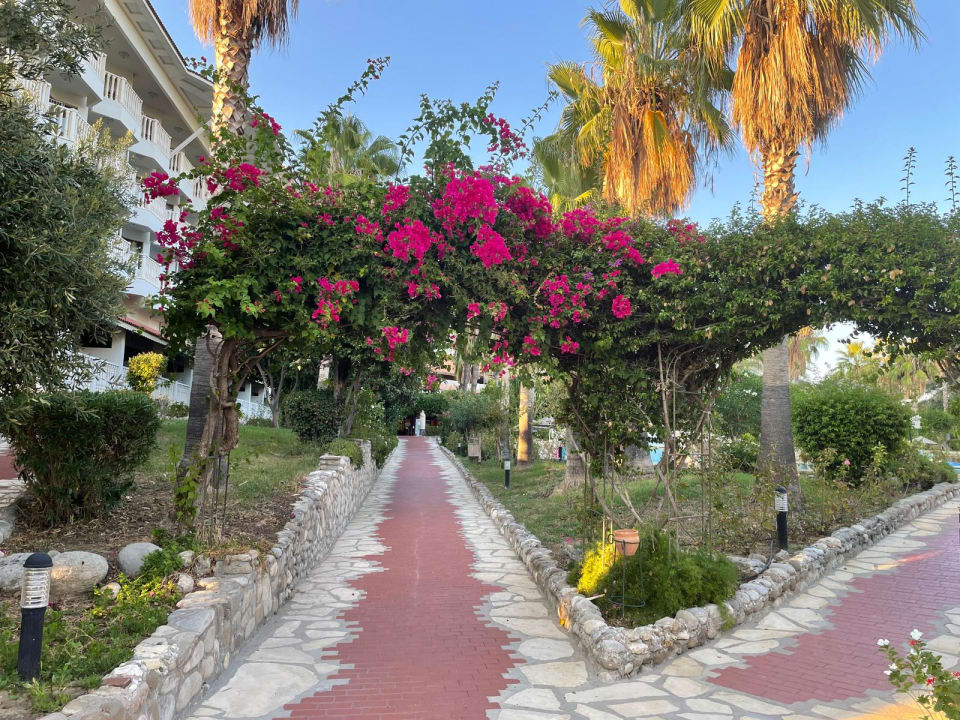 Gartenanlage Hotel Defne Garden