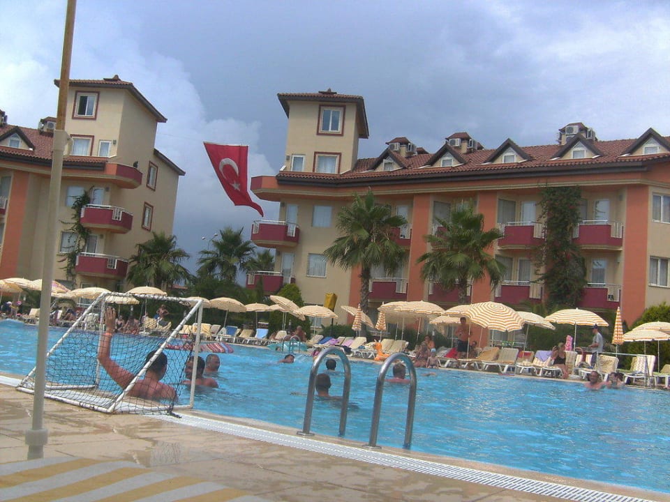 Pool Hotel Orfeus Park