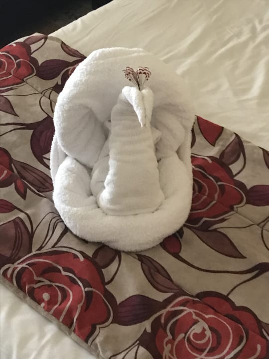 Zimmer Regency Plaza Aqua Park & Spa