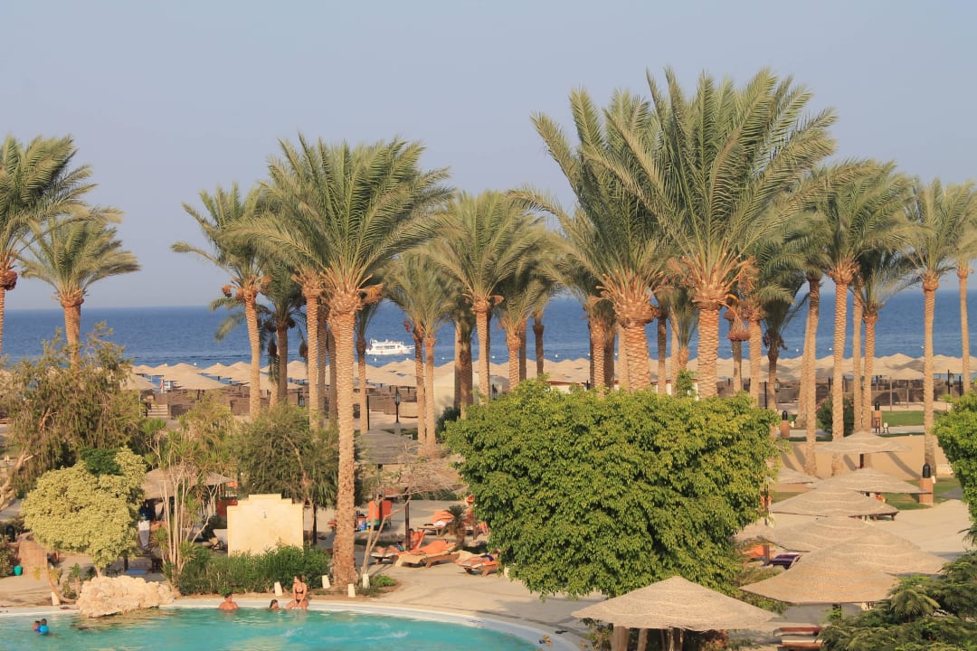 Ausblick vom Zimmr auf Pool und Meer Grand Makadi