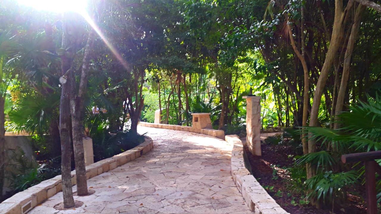 Gartenanlage Catalonia Royal Tulum Beach & Spa Resort - Adults only
