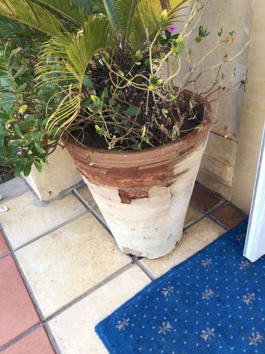 Gartenanlage Nour Palace Resort & Thalasso