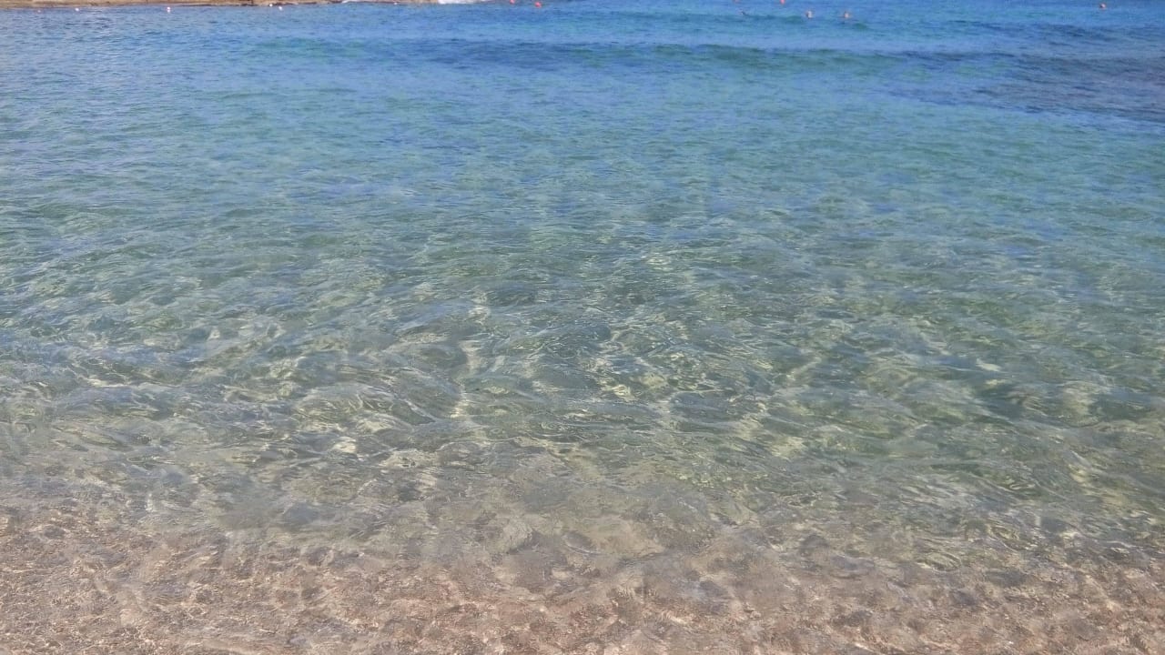 Glasklar allsun Hotel Carolina Mare