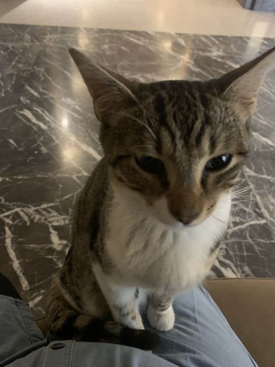 Sonstiges Seaden Quality Resort & Spa