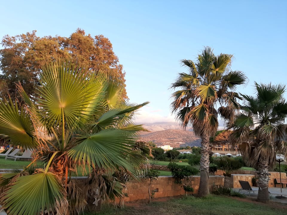 Gartenanlage Kernos Beach Hotel & Bungalows