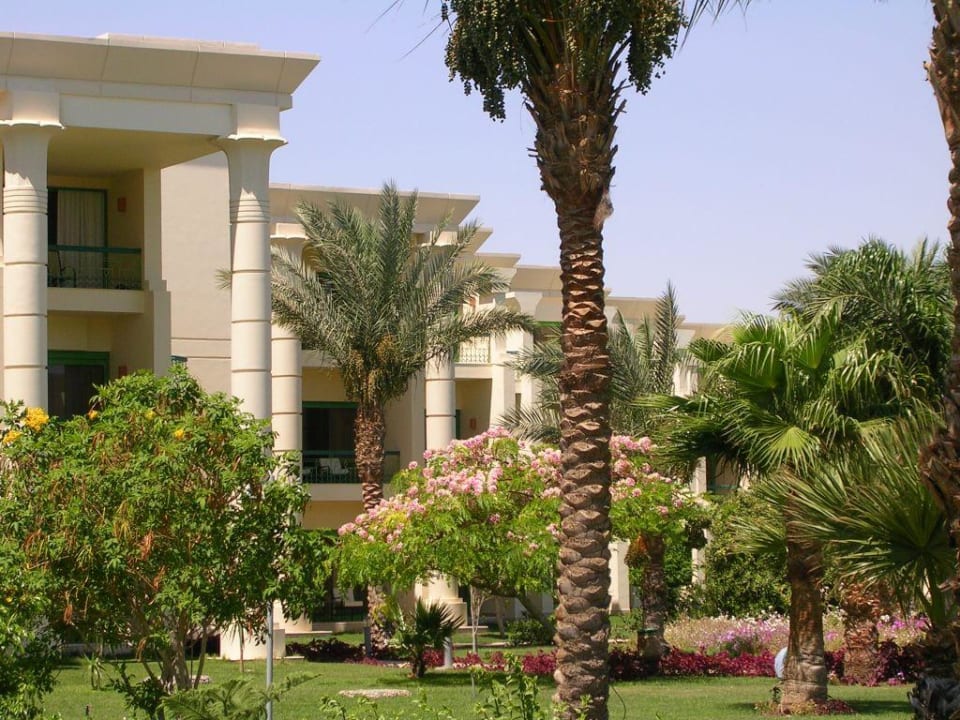 Hilton Resort - Gartenanlage Swiss Inn Resort Hurghada