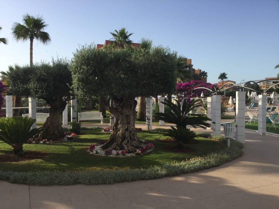 Sehr schöne Gartenanlage Hotel Cala Millor Garden - Adults only