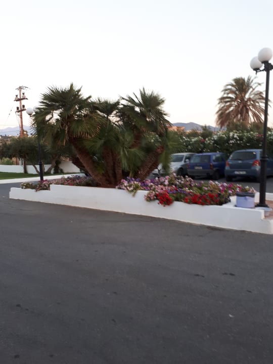 Sonstiges Hotel Serita Beach