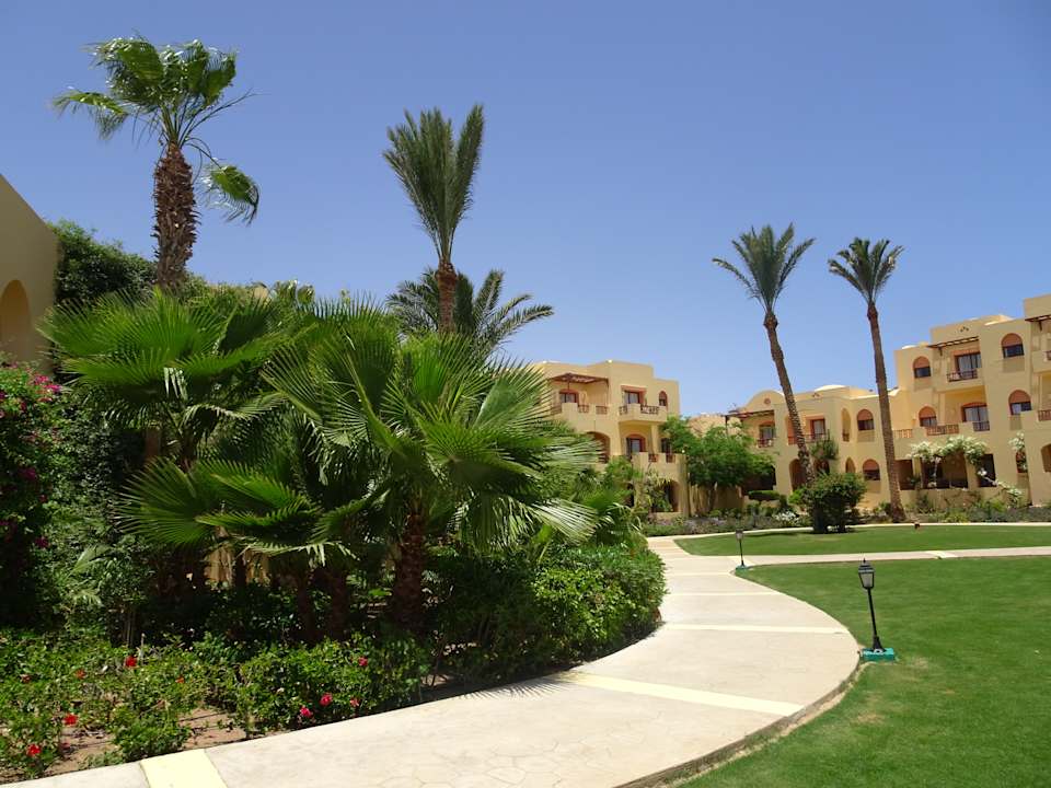 Gartenanlage Steigenberger Coraya Beach - Adults only