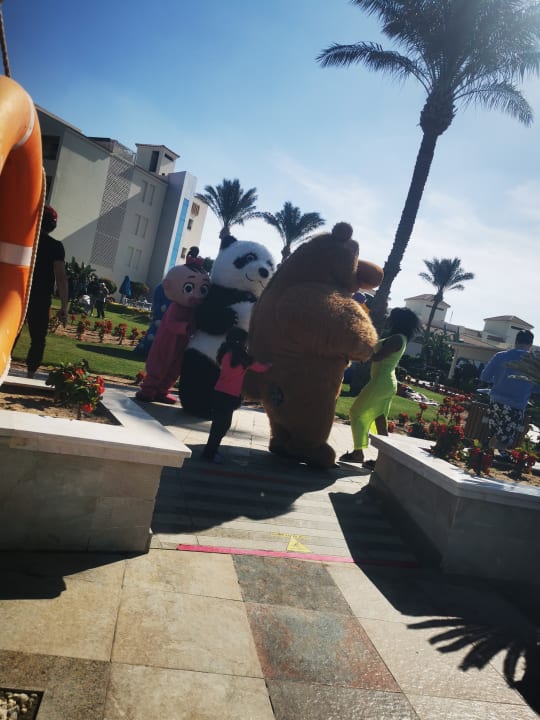 Sport & Freizeit Pickalbatros Dana Beach Resort - Hurghada