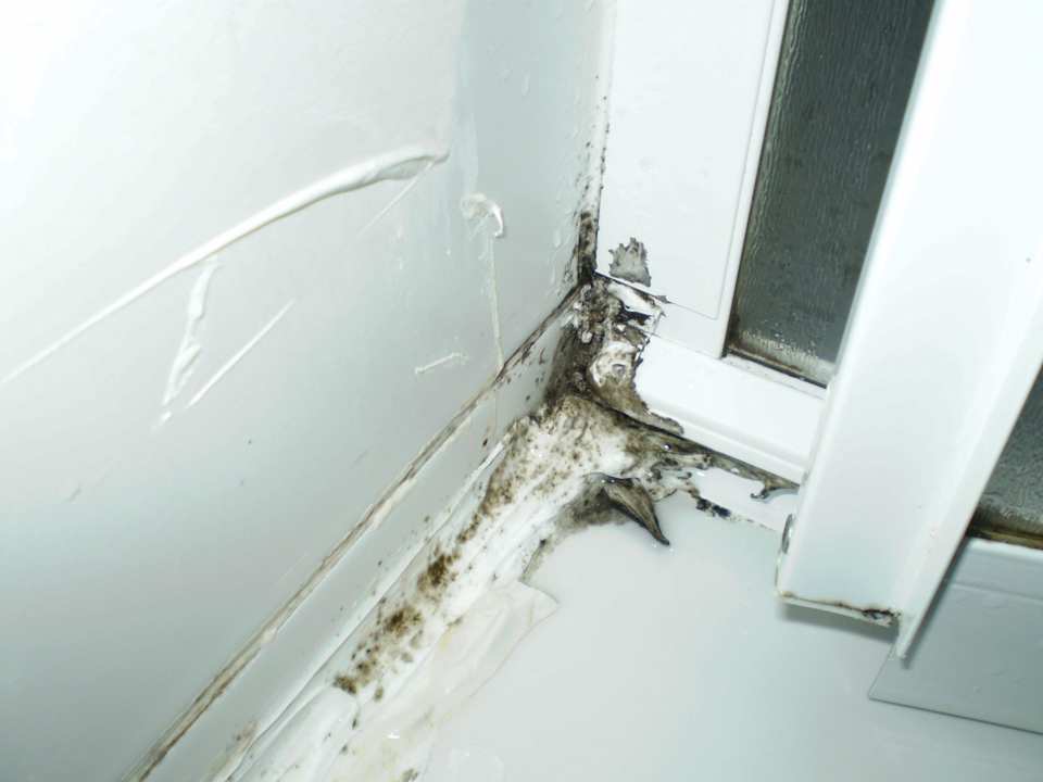 Schimmel im Bad Hotel Greenpark